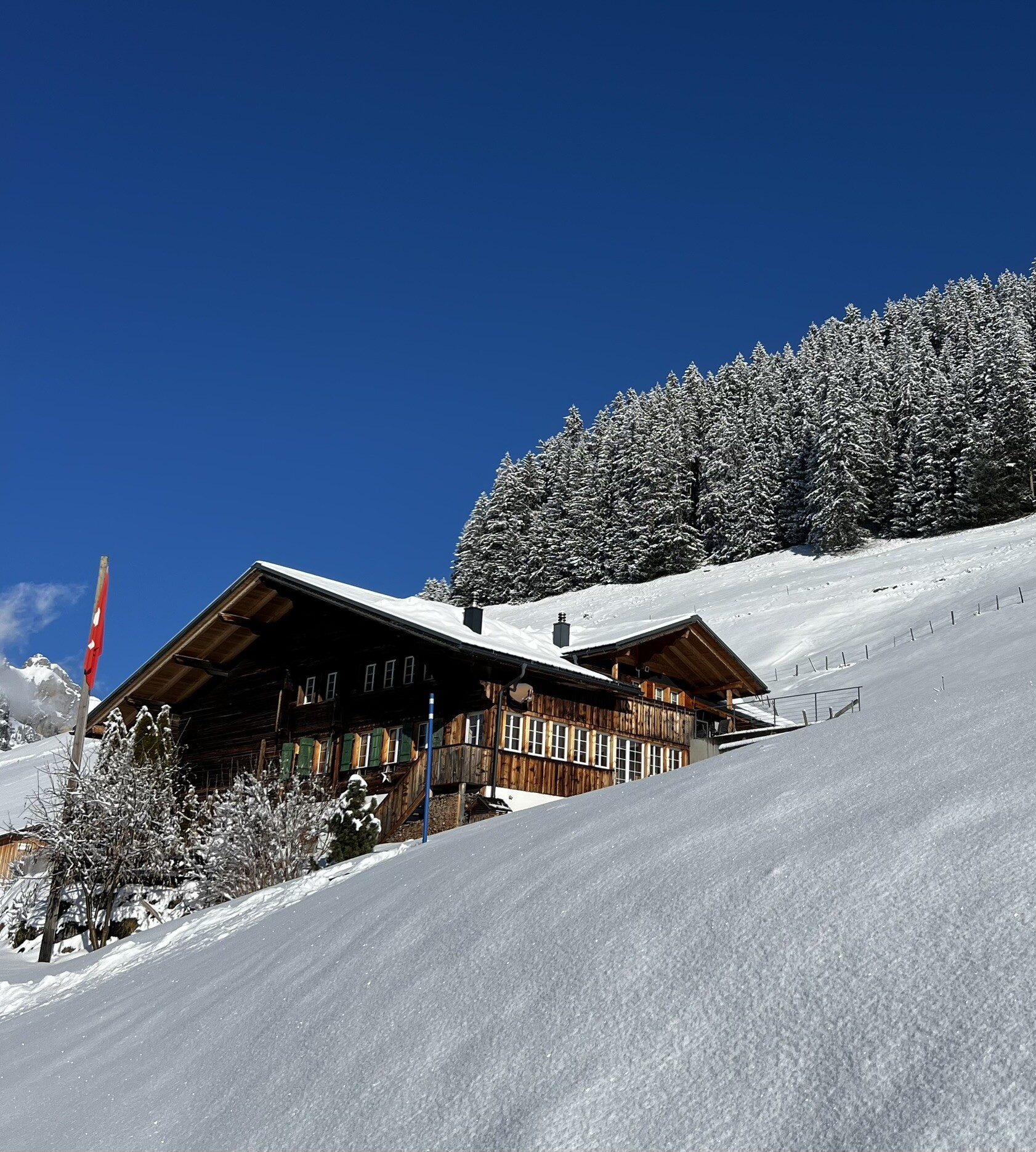 Chalet Grünenwald Maisonette: