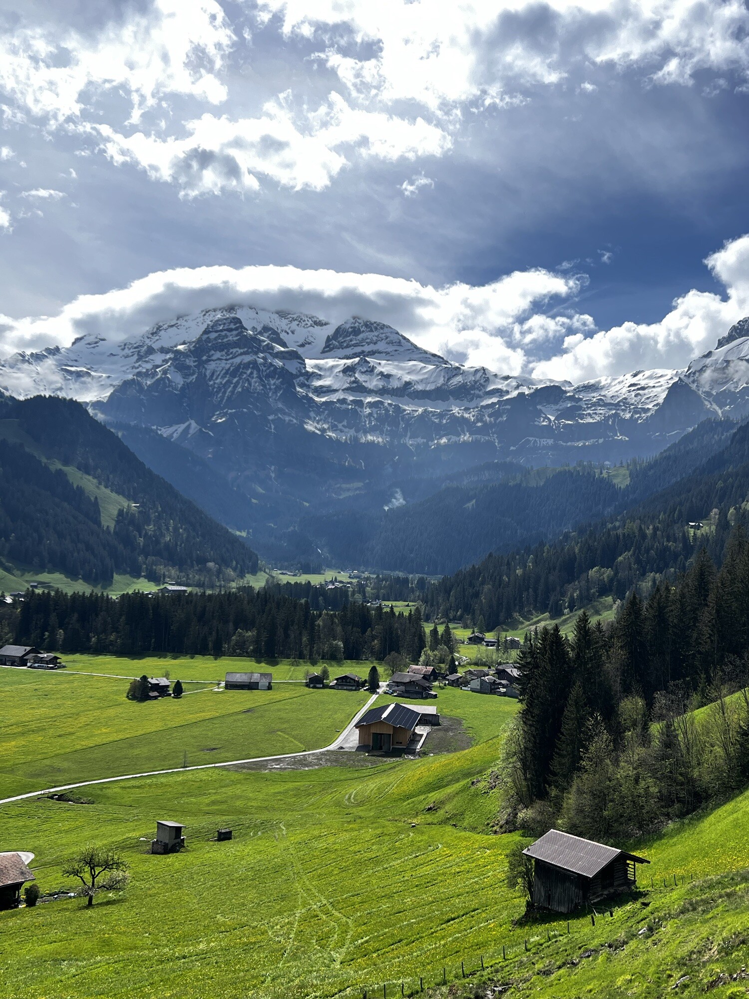 Im Sommer locken die sanften Hügel und majestätischen Berge, mit blühende Alpenwiesen und dichte Wälder.